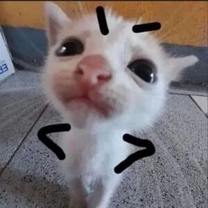 Poshmark Rules 🌙⚰️